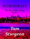 DOWNDRAFT - Невероятная трилогия Небо - Книга 2