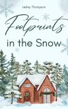 Следы на снегу