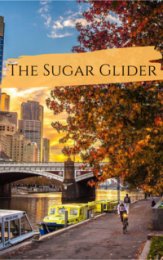 Сахарный планер