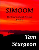 SIMOOM - Книга трилогии о небе в небе 3